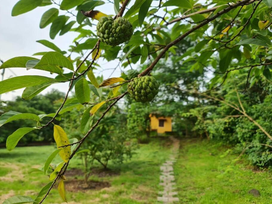Sohana Eco Retreat Farmhouse - Karjat Chinchavli 외부 사진